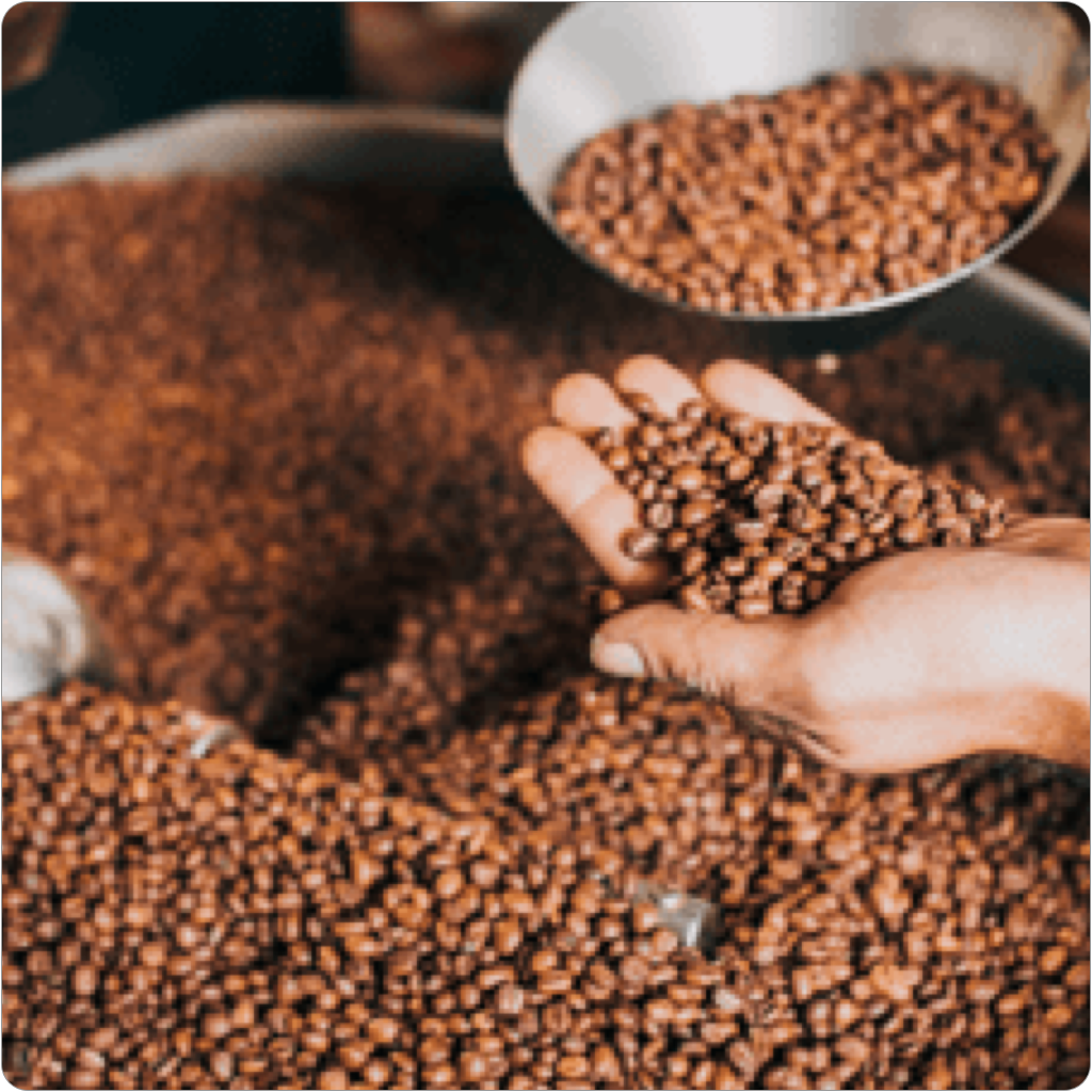 التعبئة والتغليف